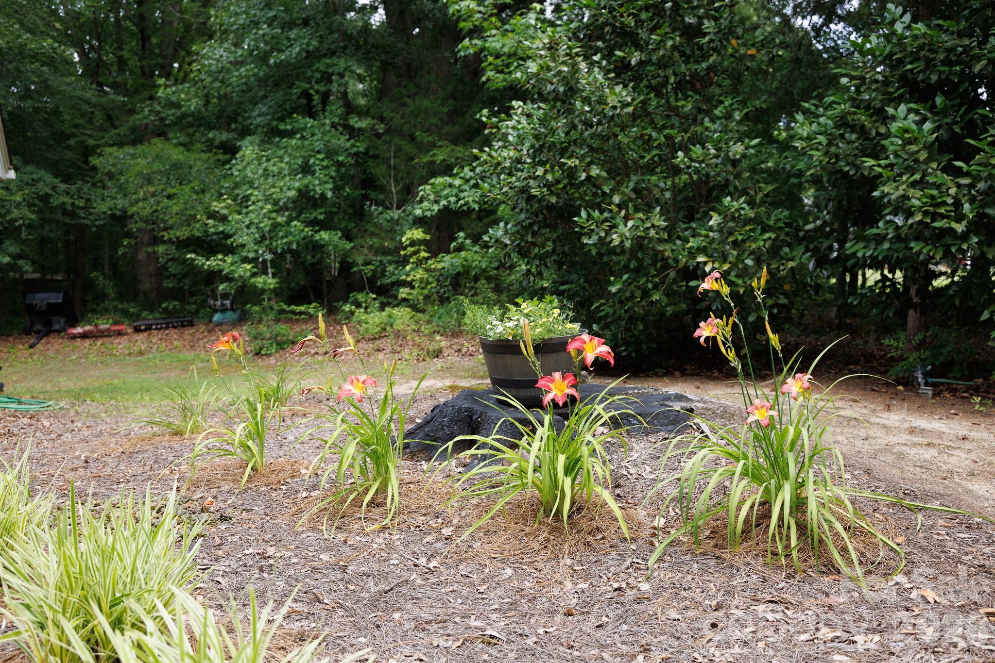 3540 Harmony Road Catawba, SC 29704 - Photo 33 of 38