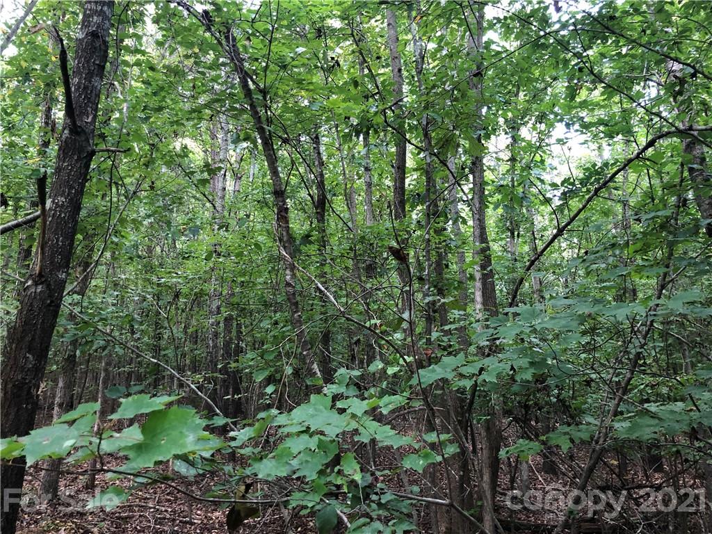 Vac Edgefield Road Albemarle, NC 28001 - Photo 6 of 6 Gallery Image 6