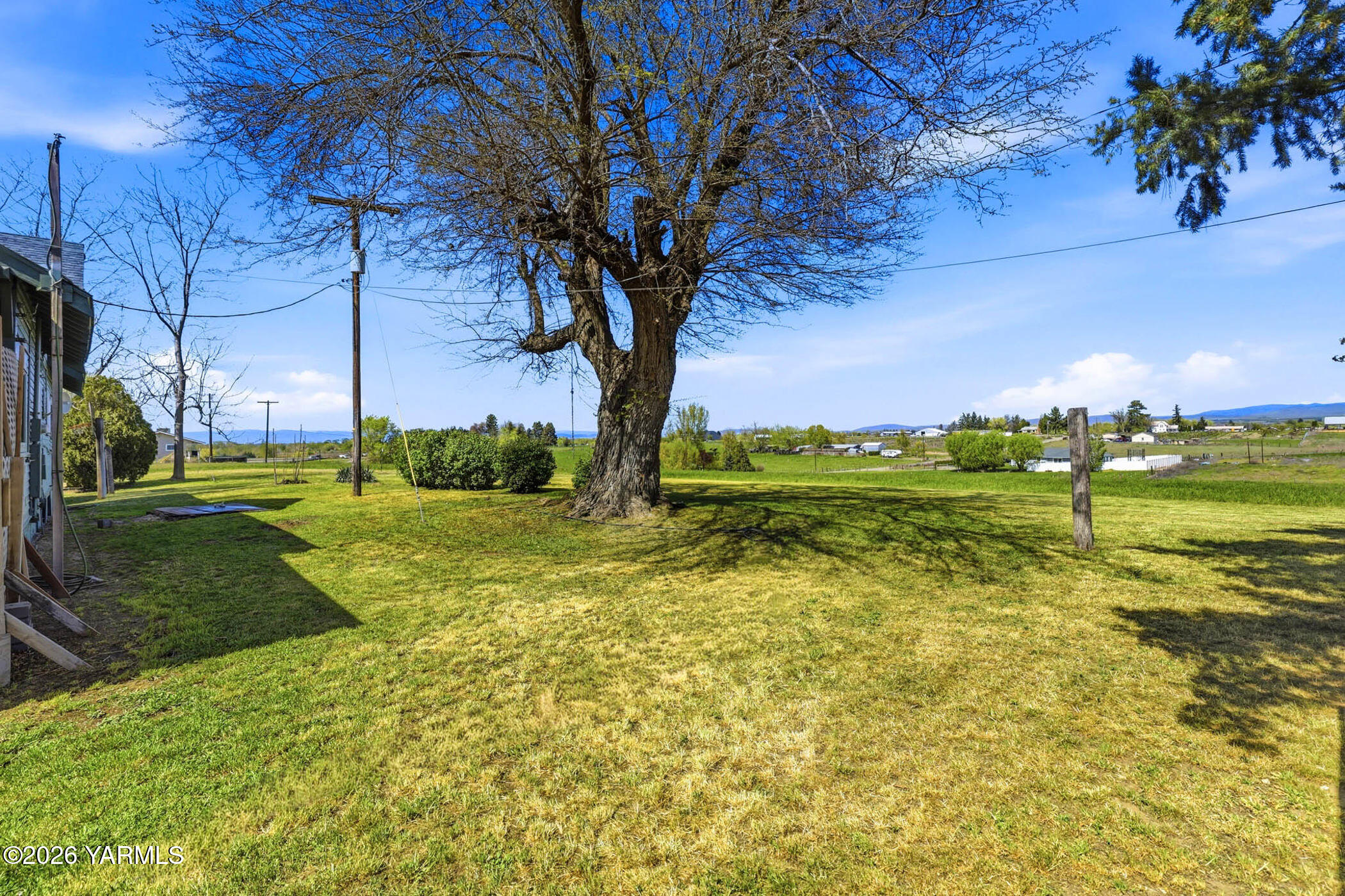 721 Blaine Road Granger, WA 98932 - Photo 34 of 45 a view of a yard with large trees