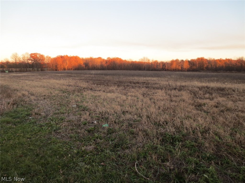 Niles Vienna Road Warren, OH 44484 - Photo 1 of 1 Gallery Image 1