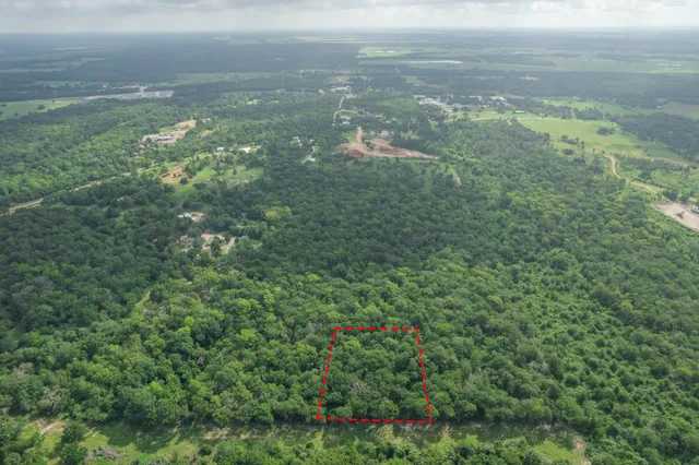 a view of a yard with an outdoor space