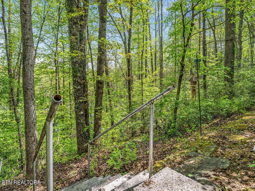 1062 North Ridge Place Sevierville, TN 37876 - Photo 12 of 37 Gallery Image 12