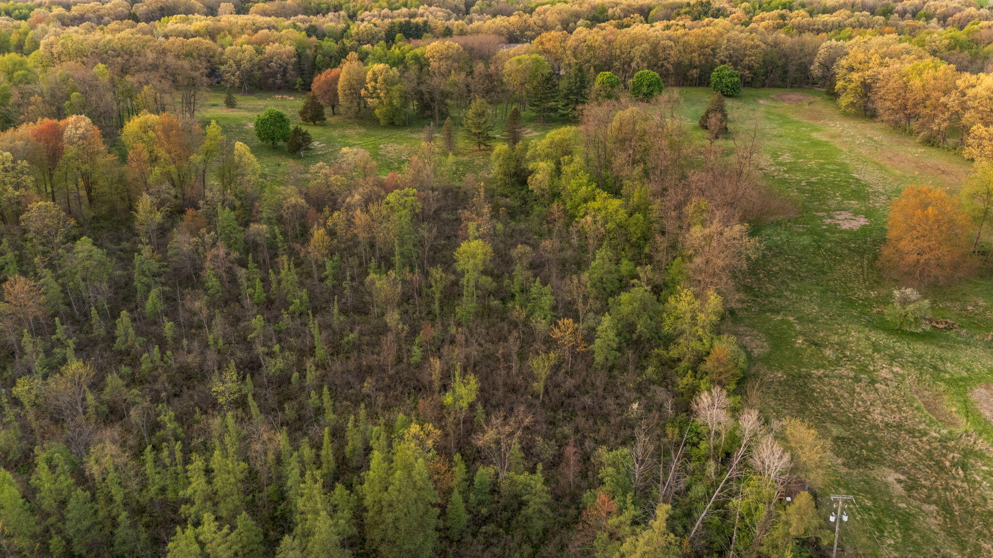 Moeckel Road Grass Lake, MI 49240 - Photo 60 of 65 60-web-or-mls-DJI_20250507201356_0151_D