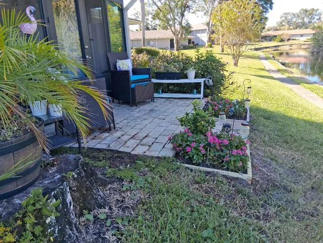 a view of a park with palm trees