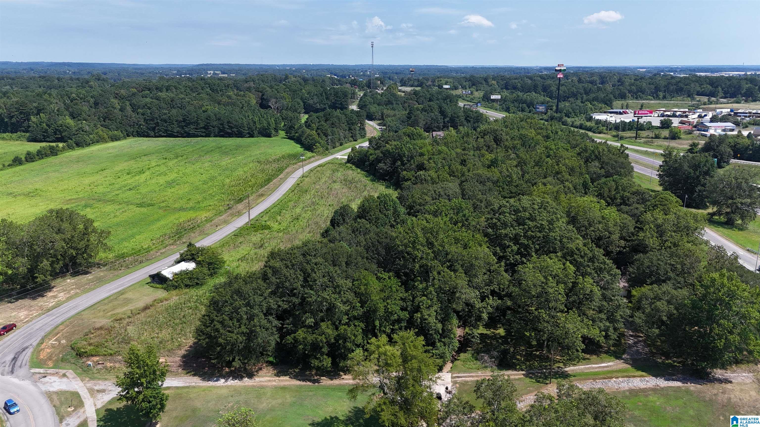 0 Reid Road Cullman, AL 35057 - Photo 13 of 23 Gallery Image 13