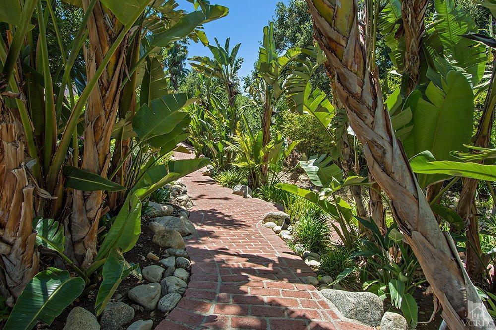 1784 Upper Ranch Road Westlake Village, CA 91362 - Photo 46 of 53 a plant that is sitting in a garden