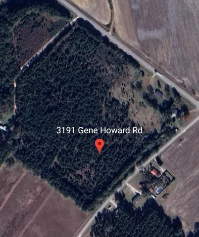 $150,000 | 3191 Gene Howard Road, Stapleton, GA 30823