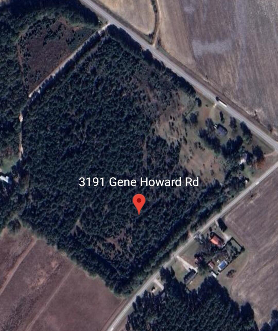 3191 Gene Howard Road Stapleton, GA 30823 - Photo 8 of 8 Arial view