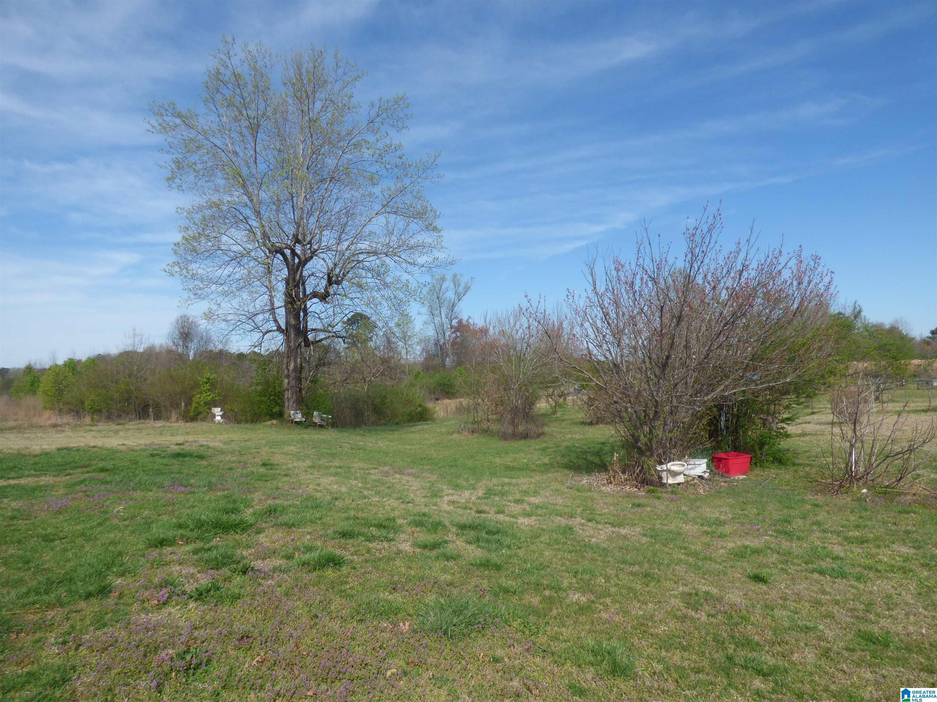 114 Haynes Road Altoona, AL 35952 - Photo 33 of 49