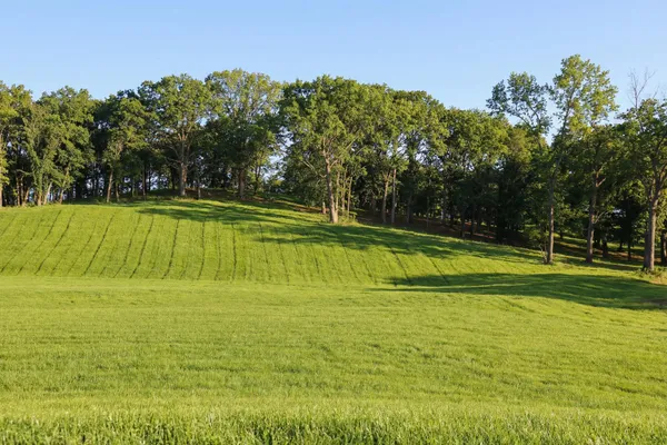 $695,000 | 1138 Luptonville Crossing, Chattanooga, TN 37351