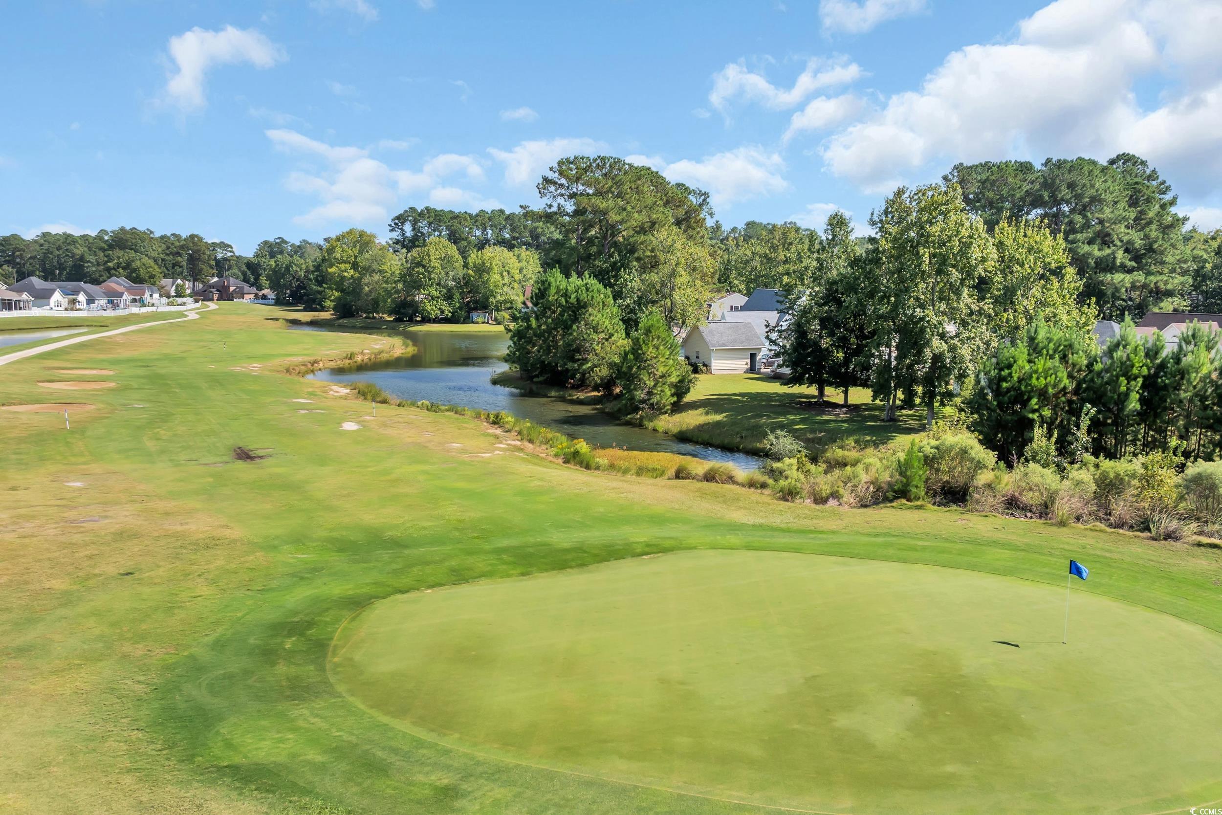 2169 Wedgewood Drive Longs, SC 29568 - Photo 31 of 35