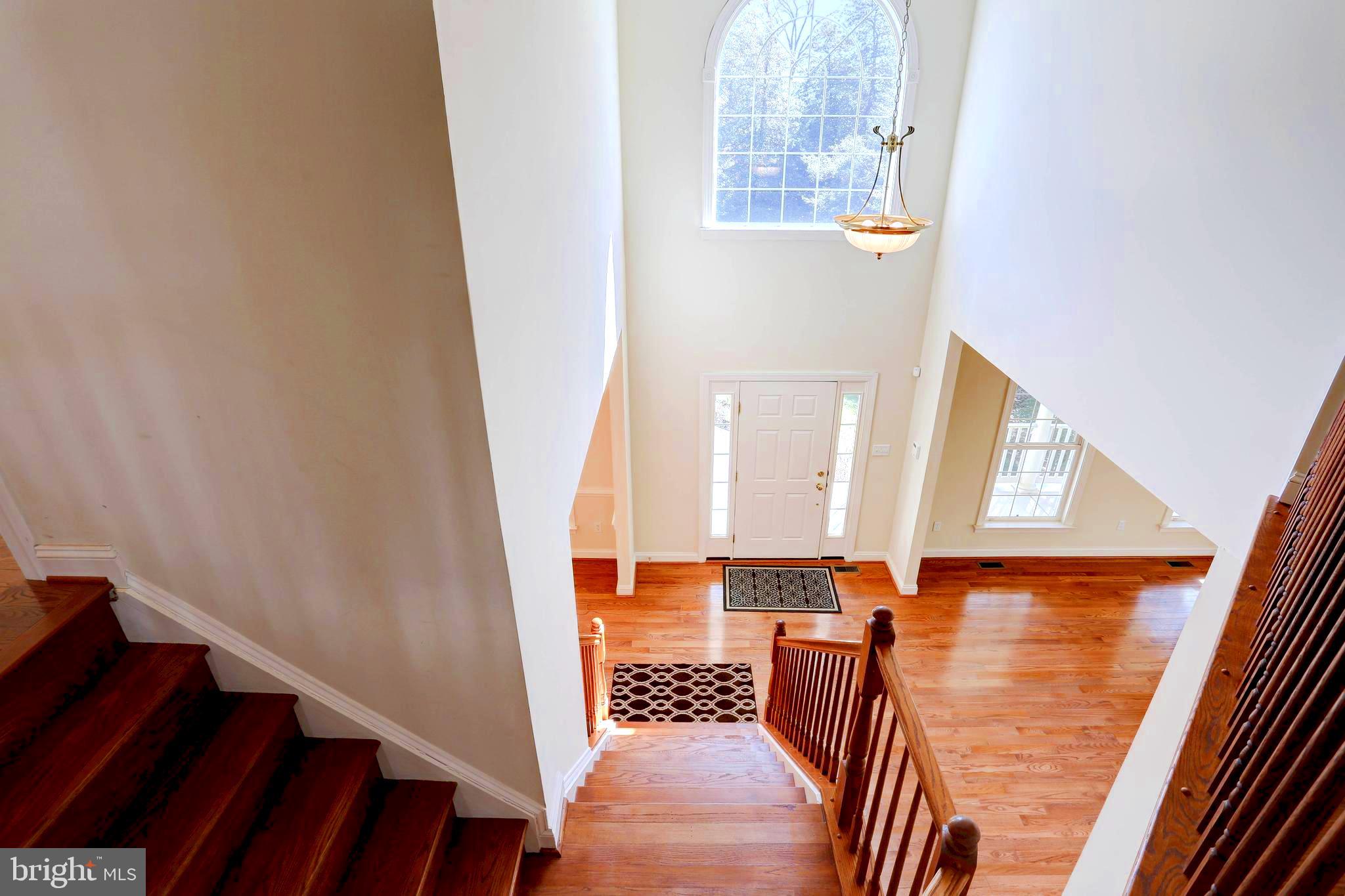 1618 Braid Hills Drive Pasadena, MD 21122 - Photo 61 of 92 Front Stair view to foyer