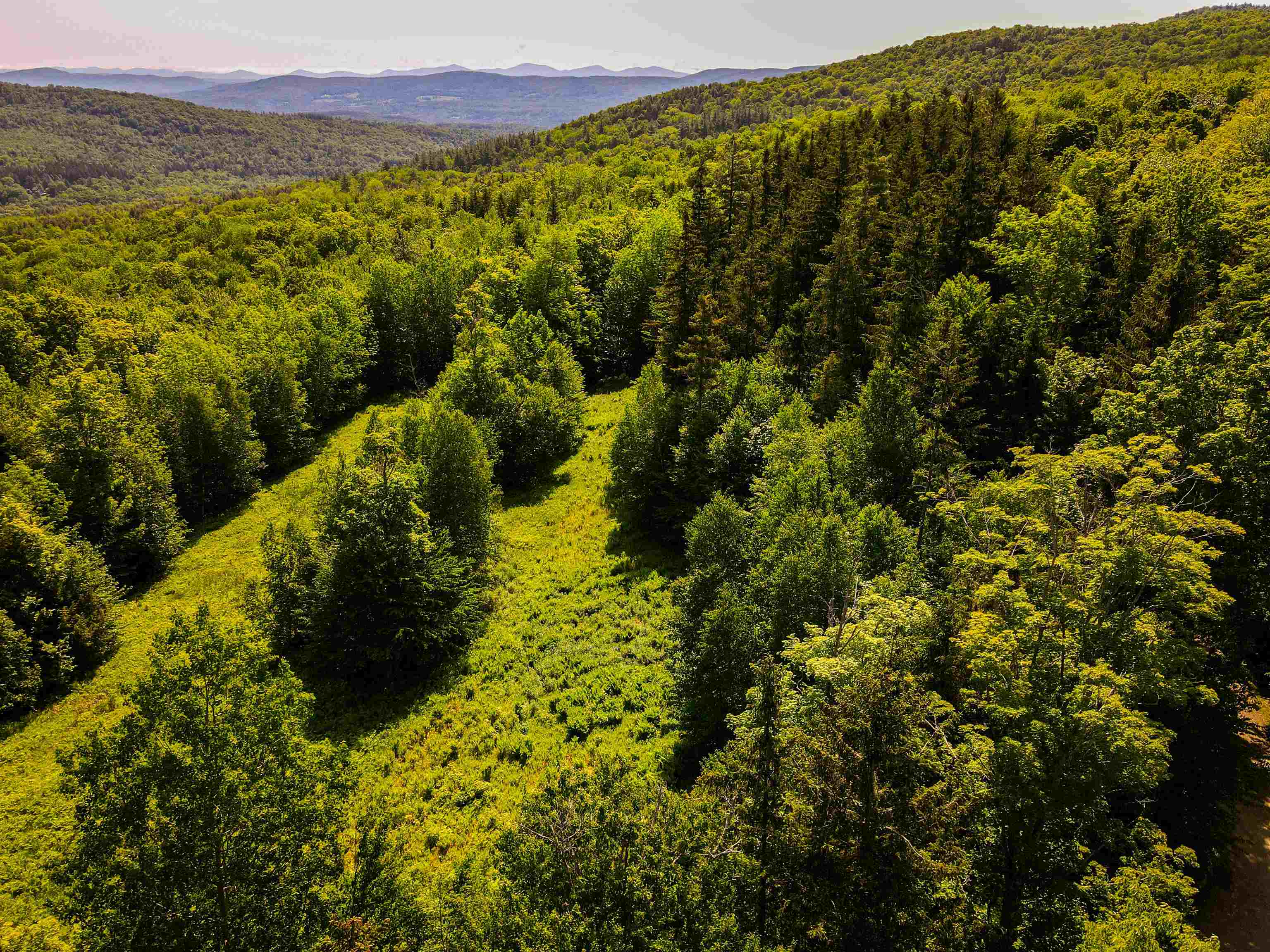2800 Ward Hill Road Duxbury, VT 05660 - Photo 2 of 11