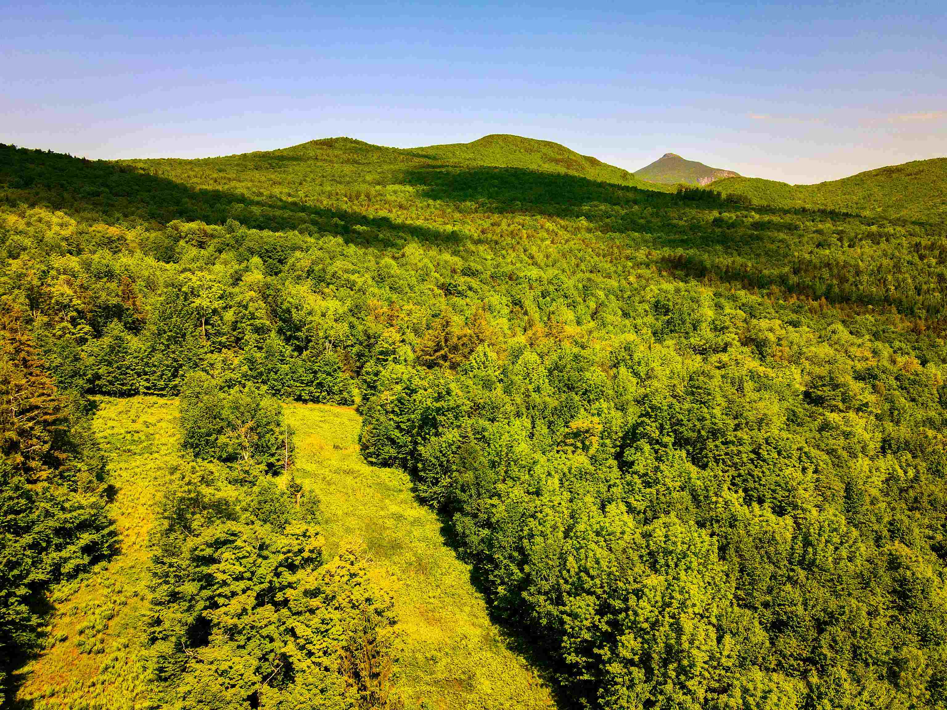 2800 Ward Hill Road Duxbury, VT 05660 - Photo 4 of 11