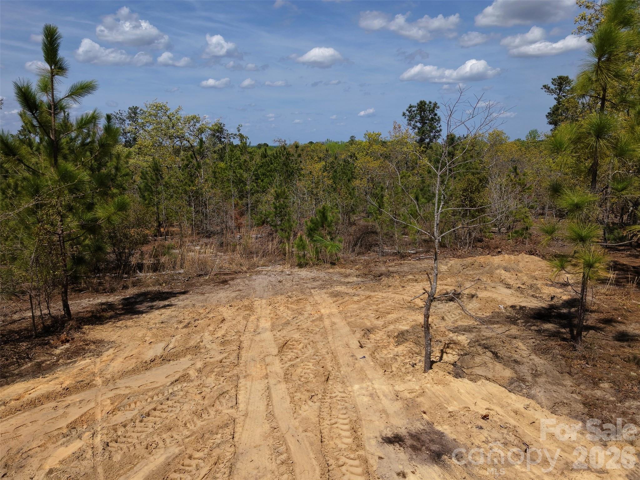 0 McQueen Road Patrick, SC 29584 - Photo 11 of 25