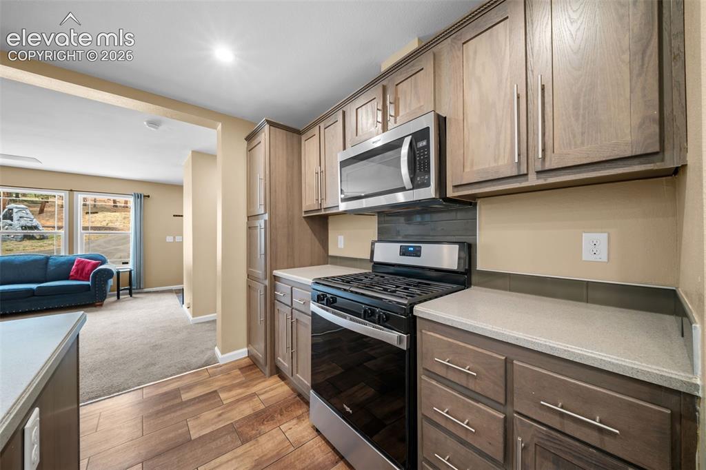 156 Fossil Creek Road Florissant, CO 80816 - Photo 13 of 47