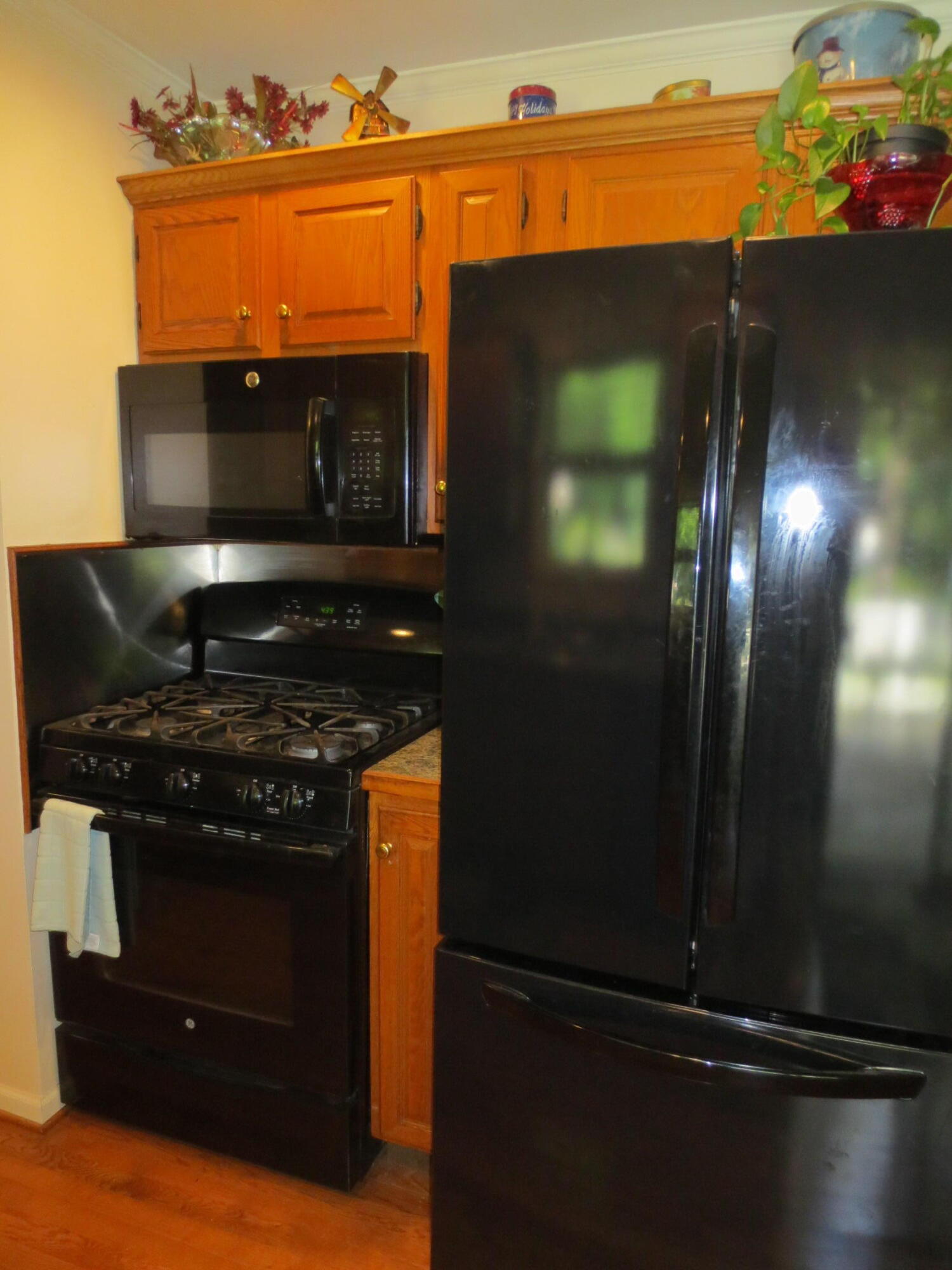 3870 Orshal Road Whitehall, MI 49461 - Photo 20 of 29 IMG_6841