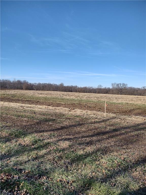 Undisclosed Address Plainfield, IN 46168 - Photo 4 of 4