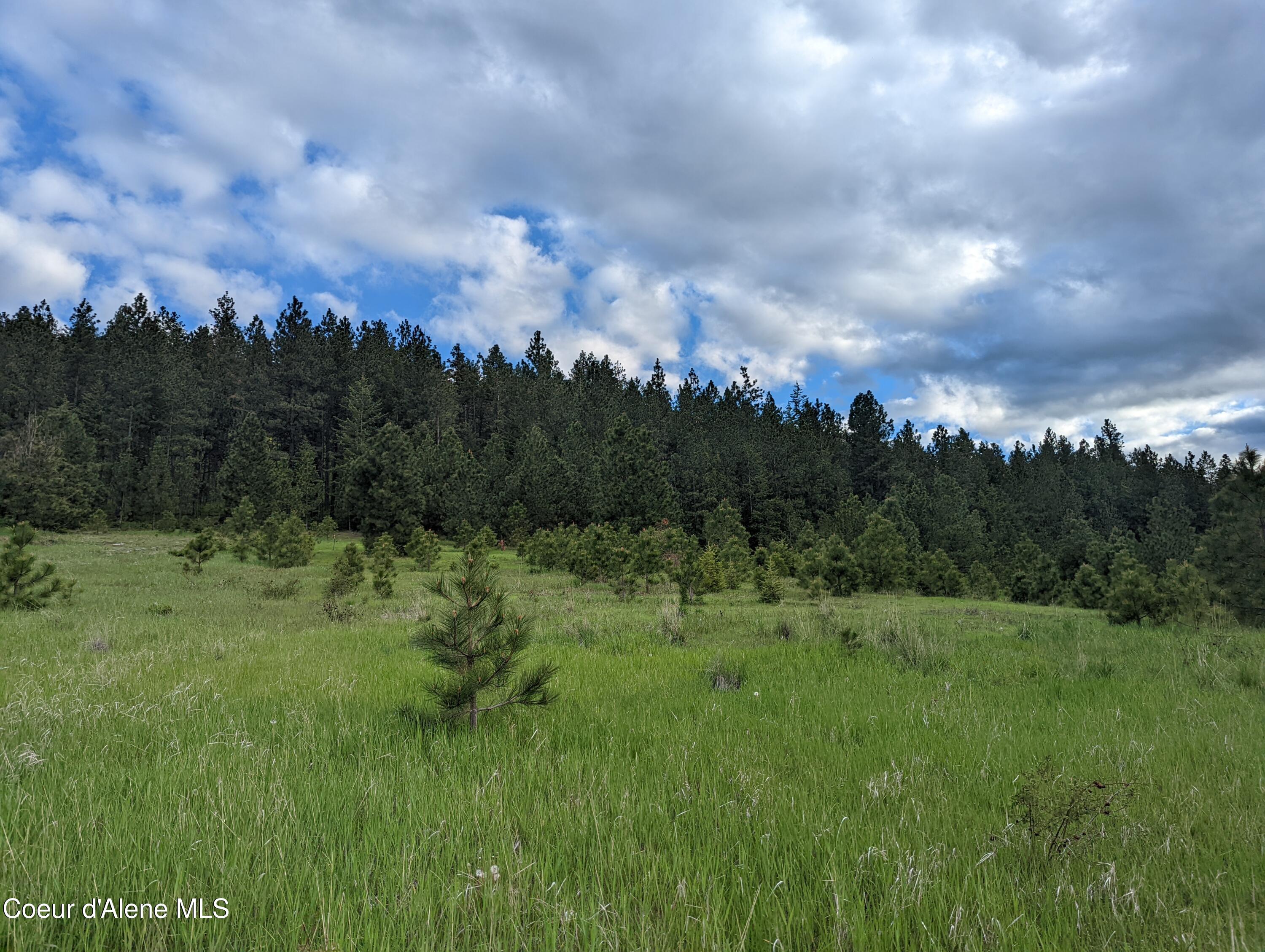 2614 Desmet Road Desmet, ID 83824 - Photo 1 of 1 Property