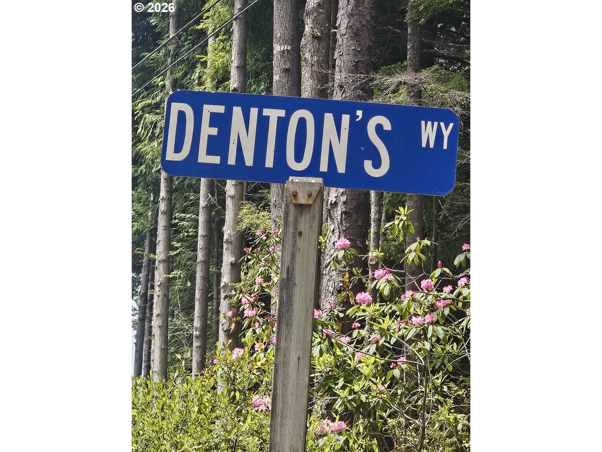 85210 Denton's Way Florence, OR 97439 - Photo 25 of 44