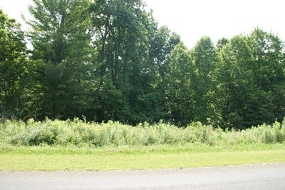 Tbd Gambetta Road, Unit 73 Galax, VA 24333 - Photo 1 of 1 Gallery Image 1