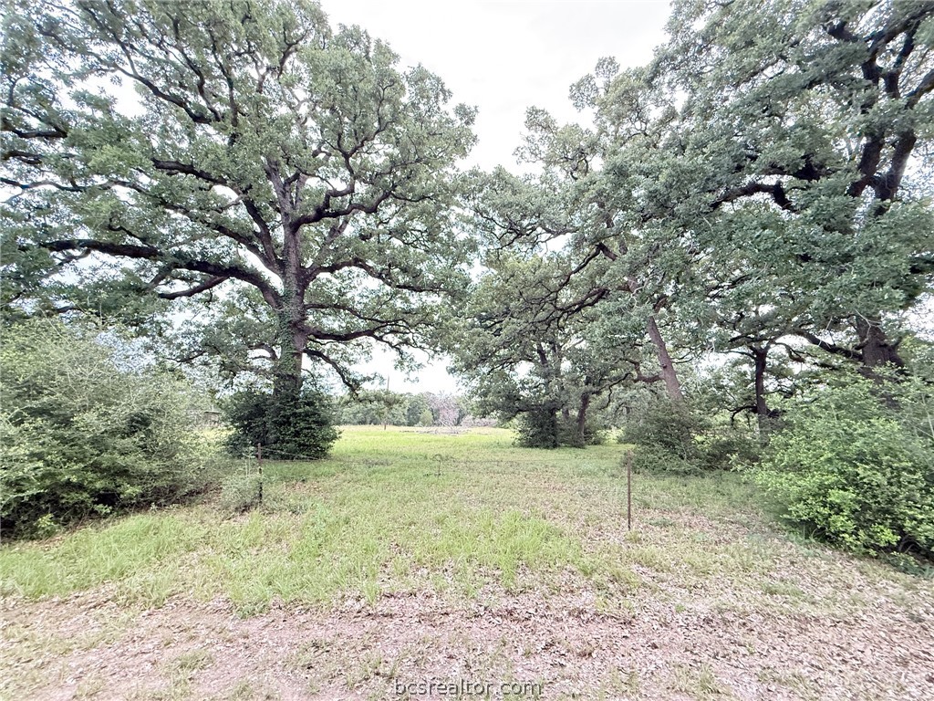 Tbd Wannabe Road Bryan, TX 77808 - Photo 15 of 25 a view of a field with a tree