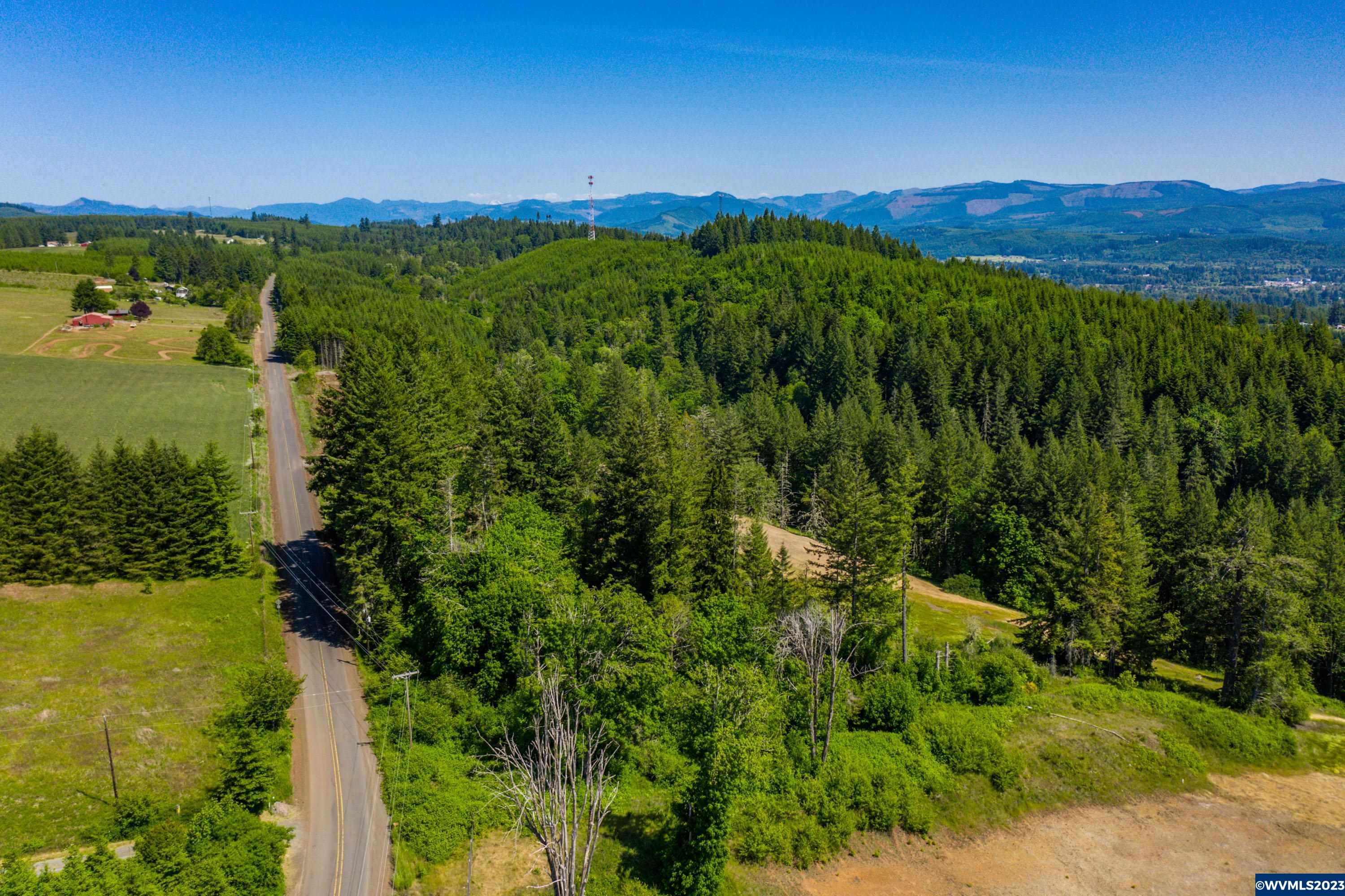 Marks Ridge Sweet Home, OR 97386 - Photo 30 of 32