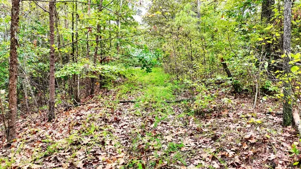 $114,900 | 0 Sain Road, Bolivar, TN 38008