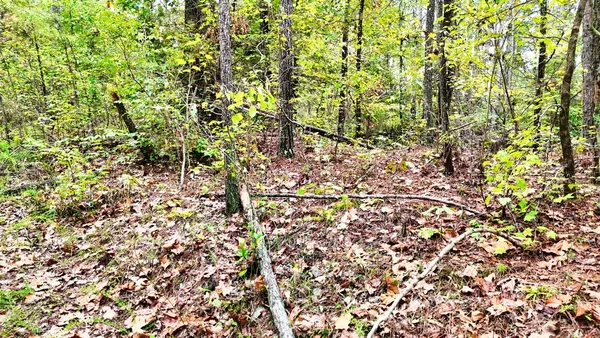 $114,900 | 0 Sain Road, Bolivar, TN 38008