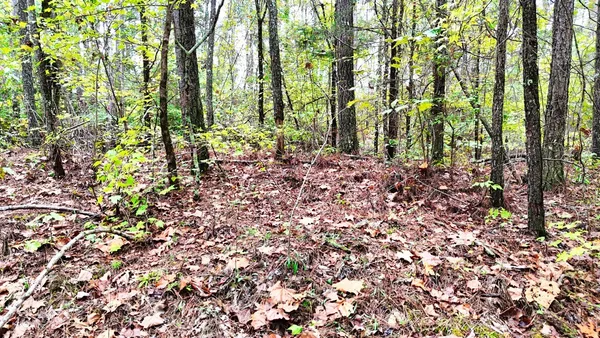 $114,900 | 0 Sain Road, Bolivar, TN 38008