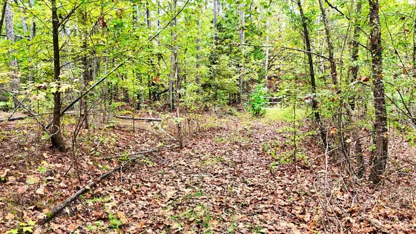 $114,900 | 0 Sain Road, Bolivar, TN 38008