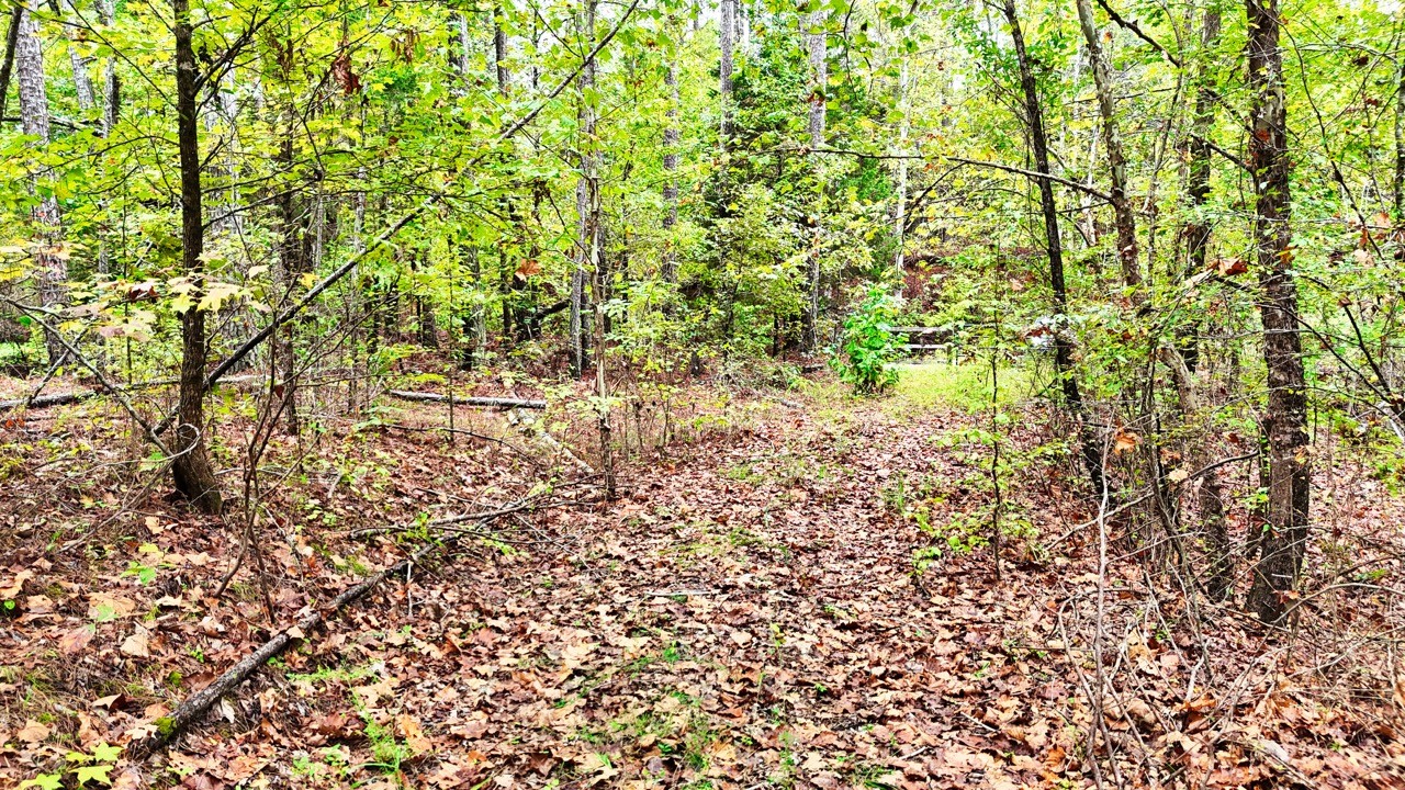 0 Sain Road Bolivar, TN 38008 - Photo 14 of 25
