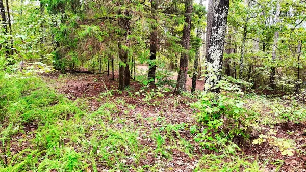 $114,900 | 0 Sain Road, Bolivar, TN 38008