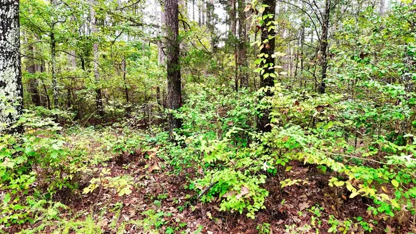 $114,900 | 0 Sain Road, Bolivar, TN 38008