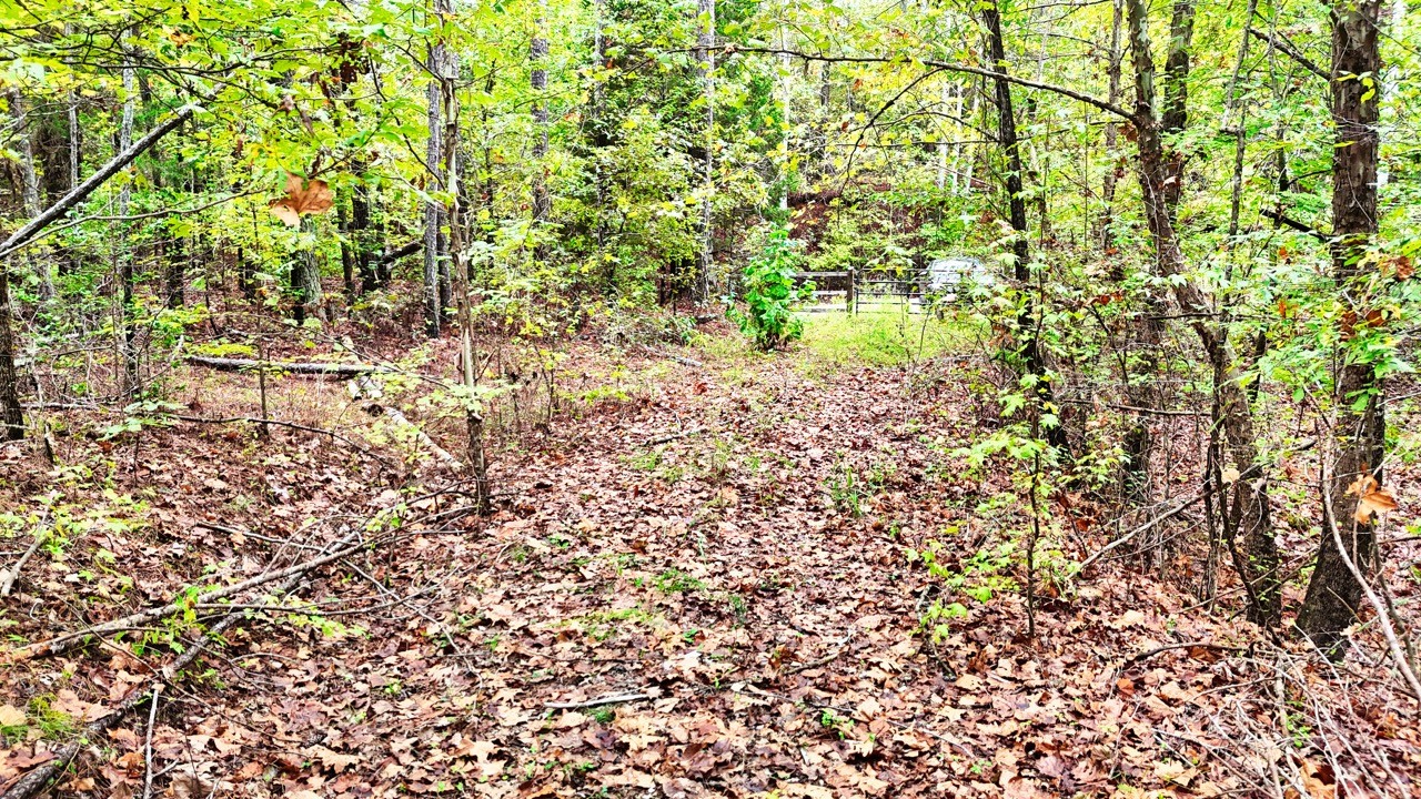 0 Sain Road Bolivar, TN 38008 - Photo 18 of 25