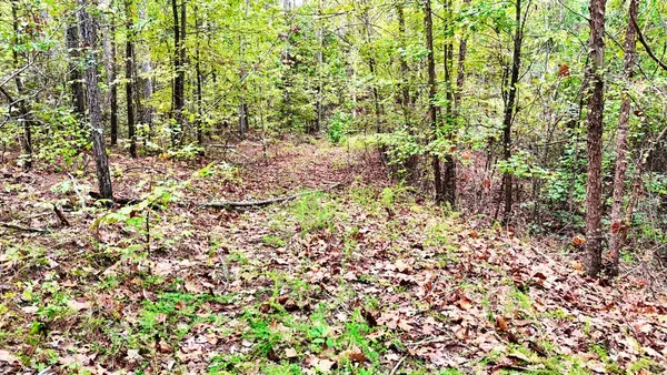 $114,900 | 0 Sain Road, Bolivar, TN 38008