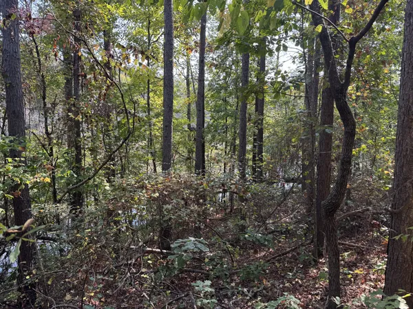 $114,900 | 0 Sain Road, Bolivar, TN 38008