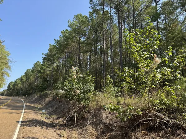 $114,900 | 0 Sain Road, Bolivar, TN 38008