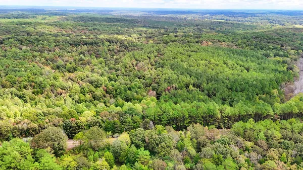 $114,900 | 0 Sain Road, Bolivar, TN 38008