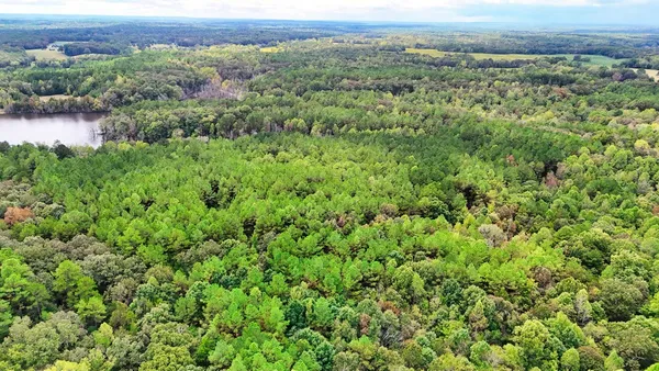 $114,900 | 0 Sain Road, Bolivar, TN 38008