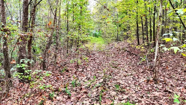 $114,900 | 0 Sain Road, Bolivar, TN 38008