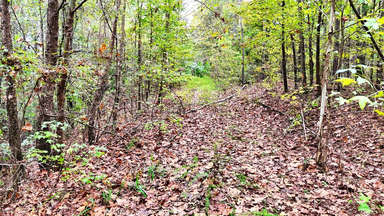 0 Sain Road Bolivar, TN 38008 - Photo 10 of 25