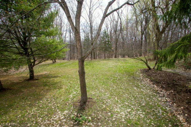 7898 Dalebrook Road Independence, OH 44131 - Photo 22 of 23 Gallery Image 22