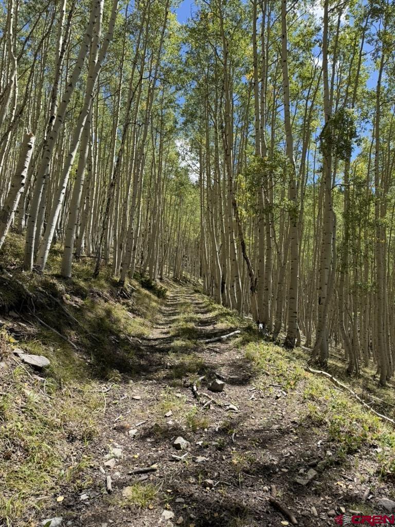 840 Forest Service Road Pitkin, CO 81241 - Photo 39 of 45 Gallery Image 39