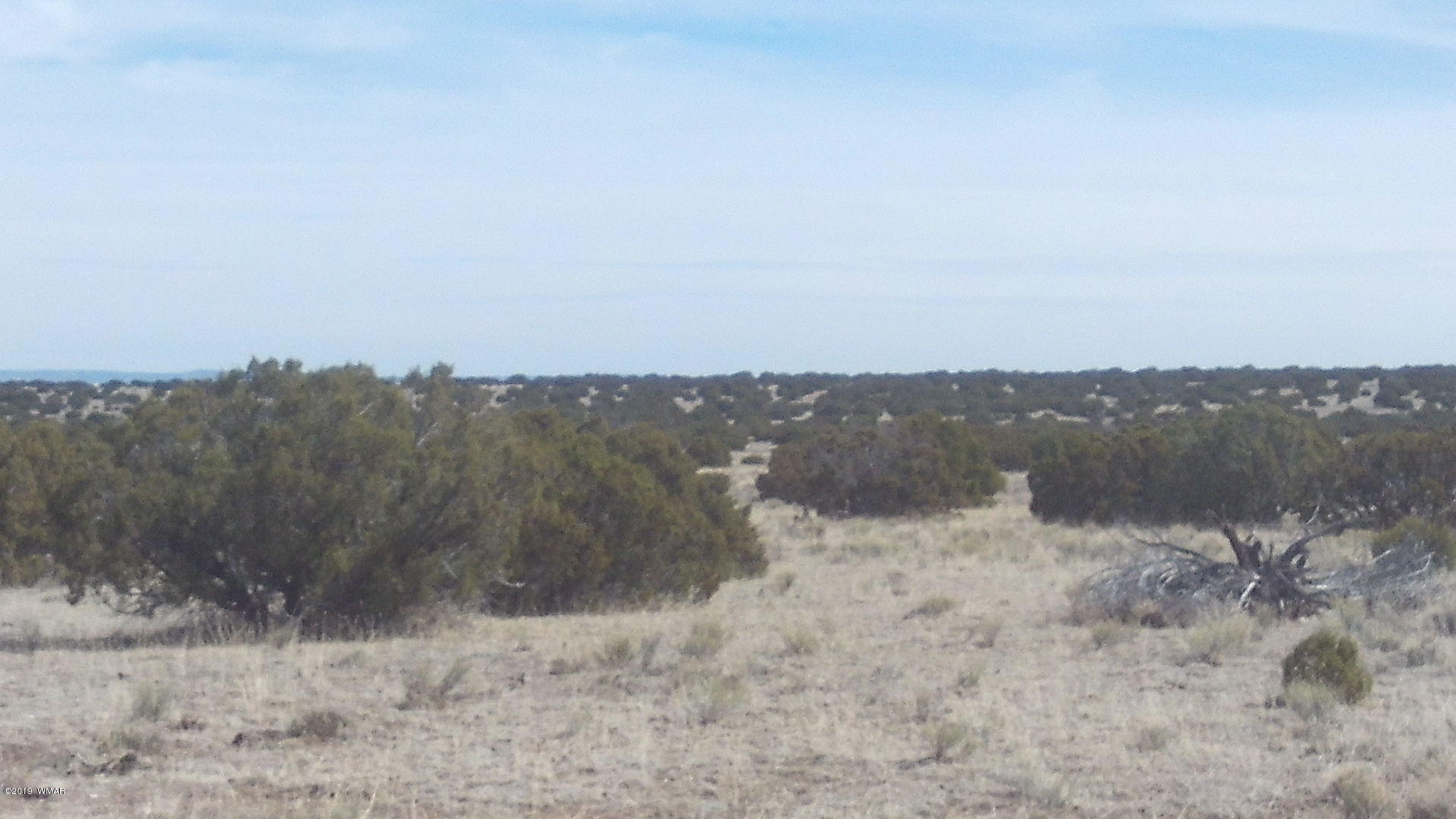 Lot 259 Elk Valley Ranch, Unit 3 St. Johns, AZ 85936 - Photo 2 of 5 a view of a dry yard