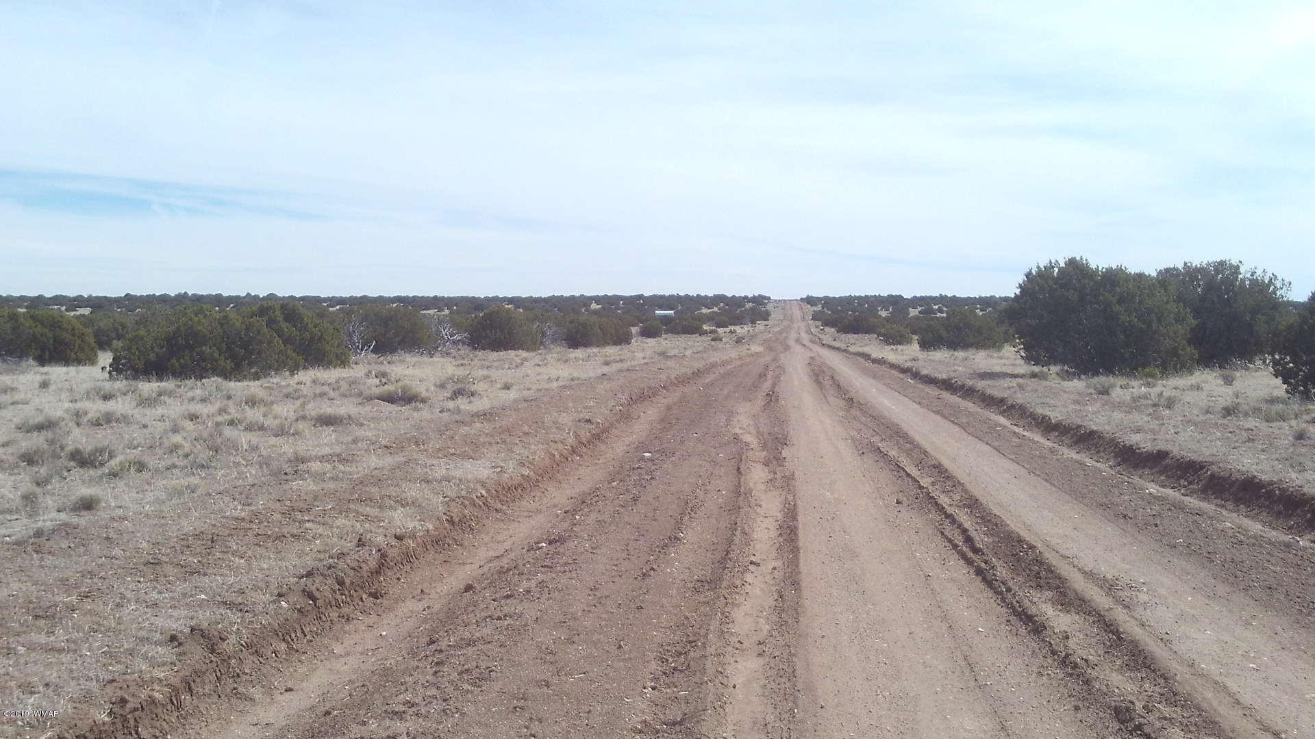 Lot 259 Elk Valley Ranch, Unit 3 St. Johns, AZ 85936 - Photo 3 of 5 a view of a dry yard with wooden fence