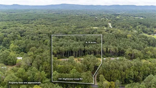 a view of a forest with a forest