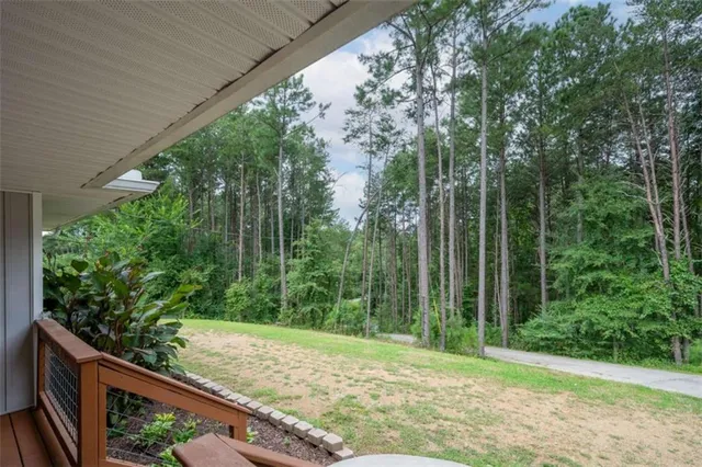 a view of a backyard with plants