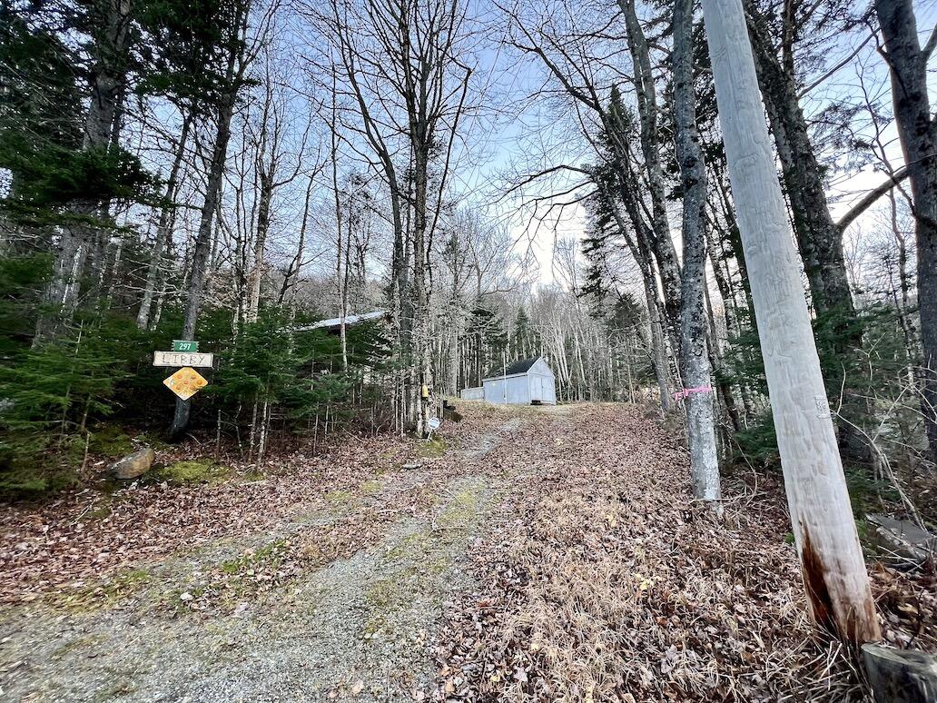 297 Edelheid Road Sandy River Plt, ME 04970 - Photo 1 of 28 Road View