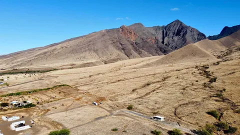 a view of a dry yard with wooden fence